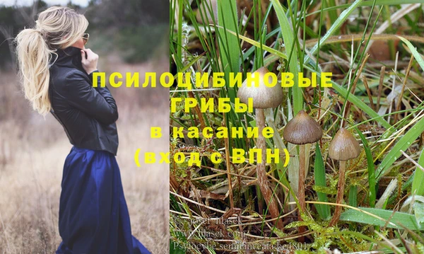 мяу мяу кристалл Горняк